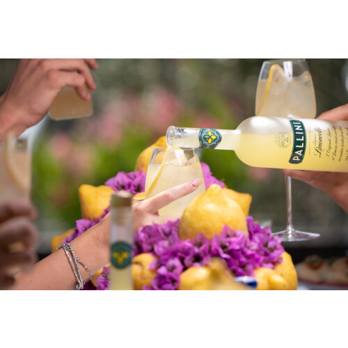 Pallini Limoncello Lemon Liqueur, 2