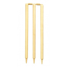 Carta Sport Ash Cricket Stump Set