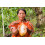 Organic Ceremonial Grade Cacao - 1kg 6