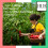 BUB Mexican Chilli Gift Pack - 4 - Pack 75g Tajin Chillies 5