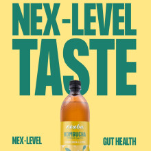 Nexba Elderflower Lemon Kombucha 1 L Pack of 6 – All Natural Sugar Fr