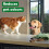 Dettol Dettol Laundry Sanitiser, Homes with pets, Fresh Breeze, 4.5L Total 6