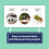 CHOI'S 1 Organic DAECHUN Seaweed Snacks, 20 Pack, Original, Product 3