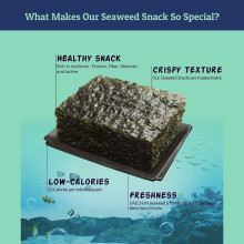 CHOIS 1 Organic DAECHUN Seaweed Snacks 20 Pack Original Product of Kor
