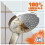 Cillit Bang Cillit Bang 750ml Limescale Remover, 3 Pack, Fast Stain & Virus 2