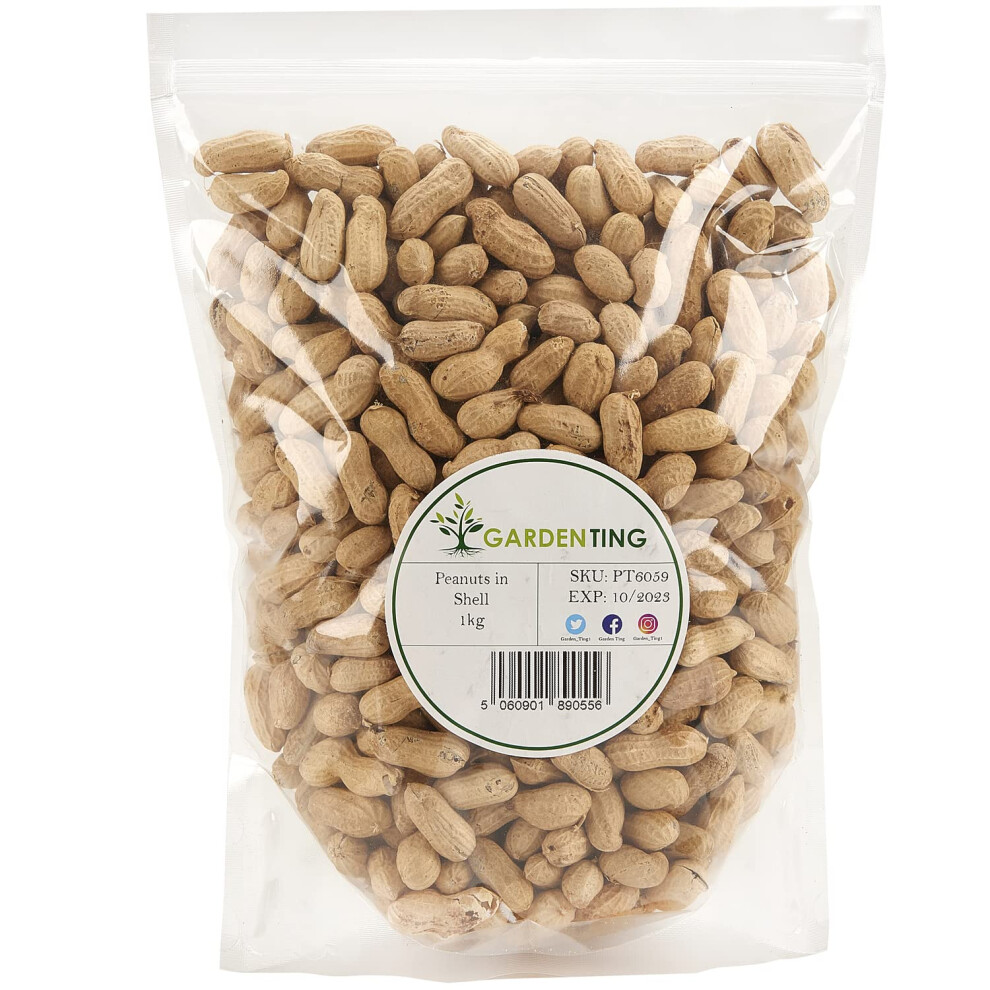 Peanuts in Shell Monkey Nuts
