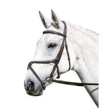 Avignon Grackle Leather Horse Bridle