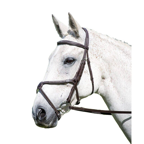 Avignon Grackle Leather Horse Bridle