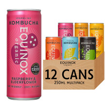 Equinox Kombucha Drink Real Fruit Kombucha Mixed Flavours (12 x 250ml) | Authentic Craft Kombucha Drink Brewed in UK with SCOBY