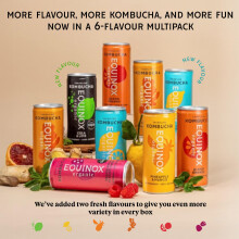 Equinox Kombucha Drink Real Fruit Kombucha Mixed Flavours 12 x 250ml
