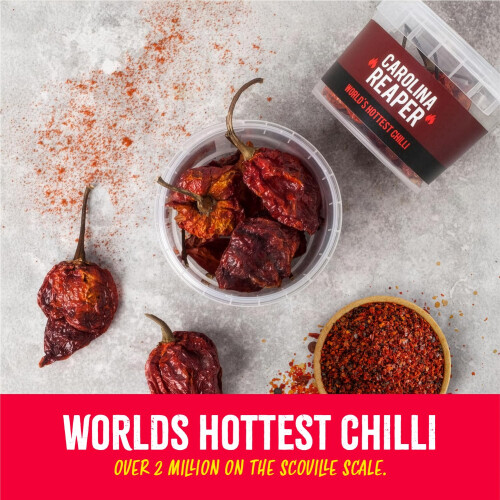 Spicentice Carolina Reaper Chilli Pot - World's Hottest Chilli 1