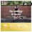 Optimum Nutrition Optimum Nutrition Essential Amino Energy + Electrolytes, Ready to 3