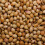 Rajah Dhaniya Whole Coriander Seeds, 2