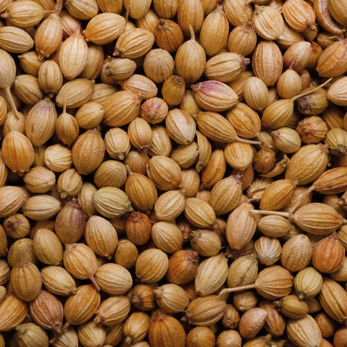 Rajah Dhaniya Whole Coriander Seeds, 1
