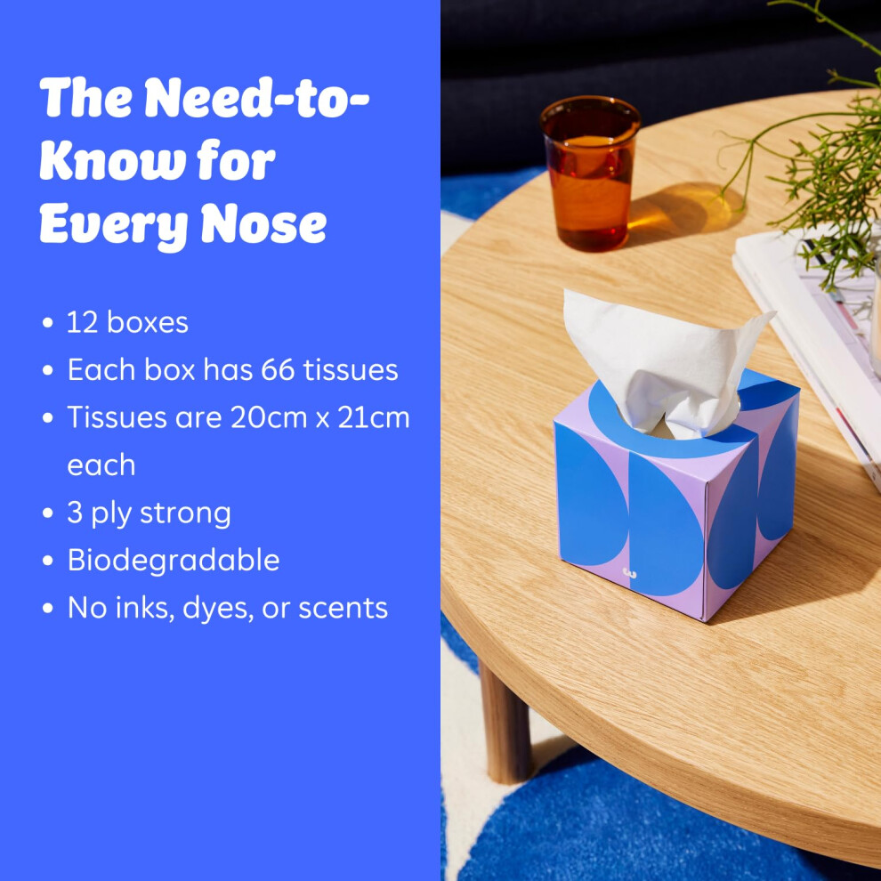 Who Gives A Crap Facial Tissues Pack Of 12 Forest Friendly Tissues Ul