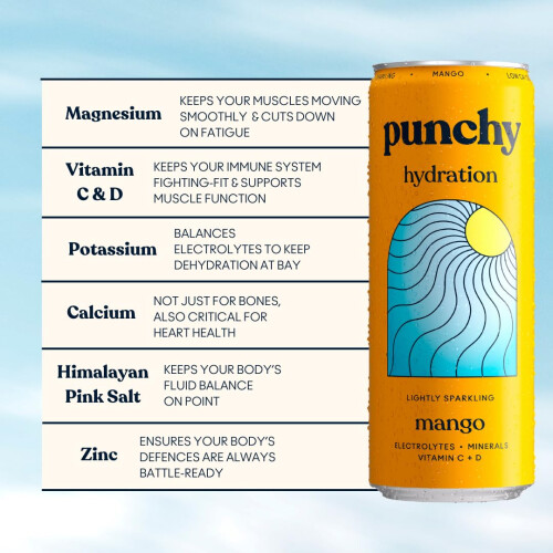 Punchy Drinks - Mango - Everyday Hydration, Lightly Sparkling, 2
