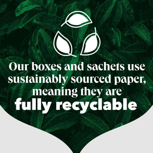 PG Tips PG Tips Raspberry Leaf Tea Bags 1