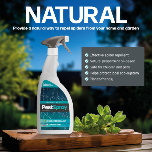 Peppermint Spider PestSpray, Peppermint Oil Spray, Spider Repellent, 1