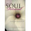 Soul Retrieval by Sandra Ingerman Paperback Book 1