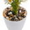 Hisredsun 2.1 lb Decorative Stones,0.4-1 inch 4