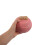 Pink Decorative Cement Urn Small Pet Ashes Keepsake Box 3