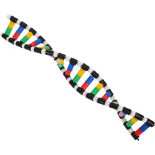 3Pcs Plastic Dna 3D Model Kit for Kids Classroom Science Teaching Tool