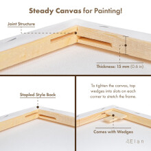 Elan Stretched Canvases 40x40 CM, 6-Pack Art Canvases for Painting 280 GSM, Triple Primed Stretched Canvas for Painting, Blank Canvas 40x40 CM