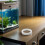 2St Drijvende Visvoeringsringen Wit Schuim Aquarium Afscheider 10