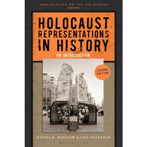 Holocaust Representations in History by Silverman Professor Lisa Unive