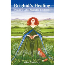 Brighids Healing by Gina McGarry Paperback Book