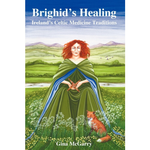 Brighids Healing by Gina McGarry Paperback Book