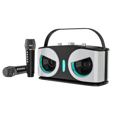 SD306plus Owl  Speaker Powerful Portable with Dual Mics HIFI Sound Ideal for Karaoke and Outdoor Parties A