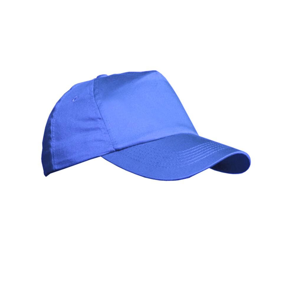 Result (One Size, Royal) Unisex Plain Baseball Cap (Pack Of 2)