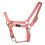 Hy Head Collar 1