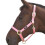 Hy Head Collar 2