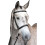 Collegiate Leather Hunt Cavesson Bridle II 2