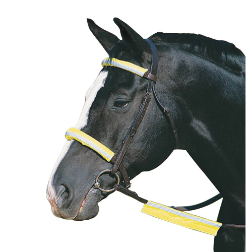 Roma Roma Reflective Bridle Kit