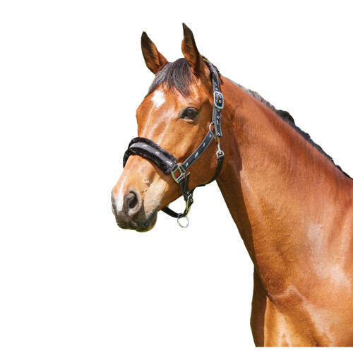 Saxon Fleece Lined Ribbon Headcollar