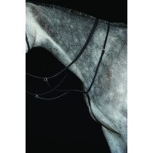 (Pony, Black) Collegiate Leather Running Martingale IV