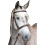 Collegiate Hunt Cavesson Leather Bridle IV 2