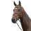 Kincade Leather Grackle Bridle II 2