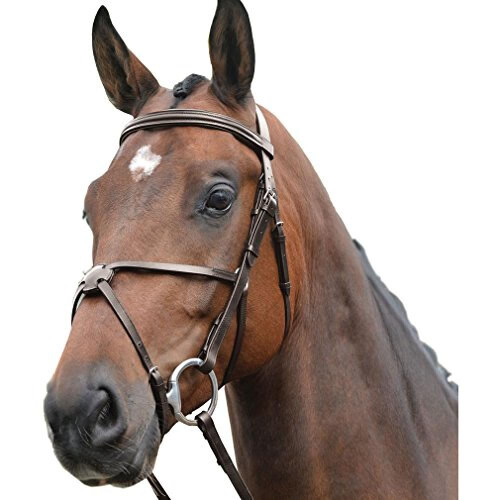 Kincade Leather Grackle Bridle II 2