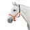 Kincade Deluxe Webbed Headcollar With Leather Crown 1