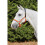 Kincade Deluxe Webbed Headcollar With Leather Crown 2