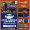 Weatherbeeta Comfitec Plus Lite Dynamic Combo Neck Turnout Rug 4