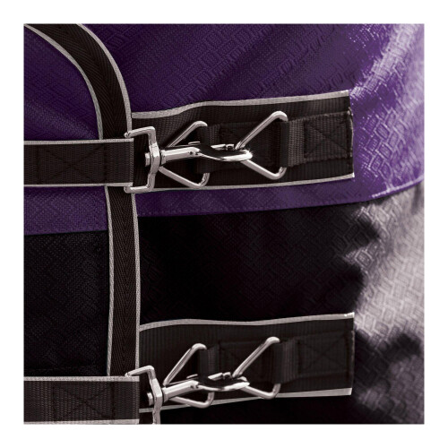 Weatherbeeta Comfitec Plus Lite Dynamic Combo Neck Turnout Rug 2
