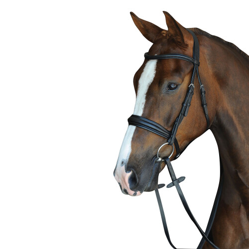 Collegiate Mono Crown Padded Raised Leather Cavesson Bridle 1