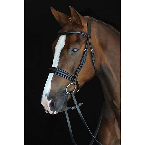 Collegiate Mono Crown Padded Raised Leather Cavesson Bridle 2