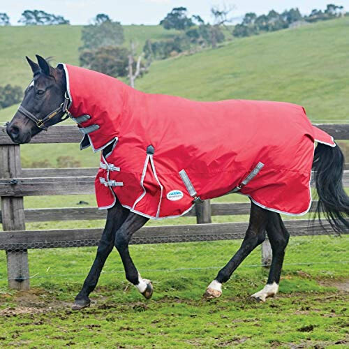 Weatherbeeta Comfitec Heavy Classic Combo Neck Turnout Rug 1
