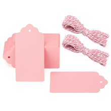 G2PLUS Kraft Paper Gift Tags 100PCS Large Plain Gift Tags 5x10CM Pink Blan